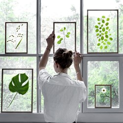 moebe-frame-plants-800x800