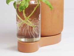 pot-greenfinity-9