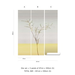 Acacia_sauterne_261x300cm_cmyk_with-texture_tenue-de-ville-2