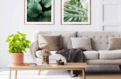 pot-greenfinity-11