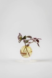 STANDING FLOWER BUBBLE, LOW TUBE, YELLOW-3
