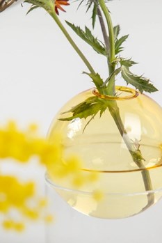 STANDING FLOWER BUBBLE, LOW TUBE, YELLOW-2studio-about