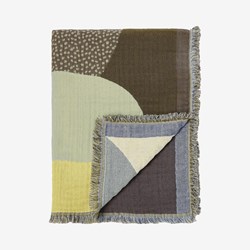 plaid-dahlia-habitat-2