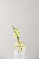 Standing flower bubble-low-yellow-studio-about