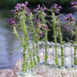 0804-petit-vase-avril-tse-tse