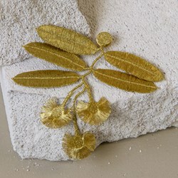 Eucalyptus-flowers_botanopia-3
