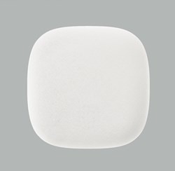 Kupu_10_white