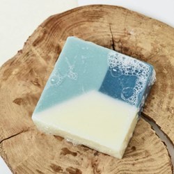 savon-fenetre-pommier-ciment-2