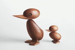 duck-architectmade