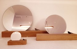 bird-told-me-mirror-raumgestalt-9