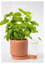 pot-greenfinity-5