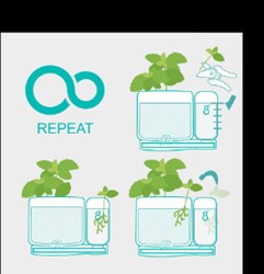 pot-greenfinity-10