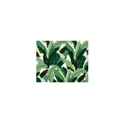 IXXI-Banana-Leaf-neutral-white-100x80-cm