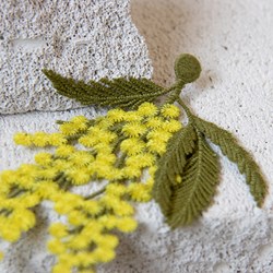 Embroidery-mimosa-Brooch_by-Botanopia-3