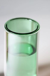 FLOWER TUBE, LOW TUBE, GREEN-studio-about-2