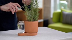 pot-greenfinity-8
