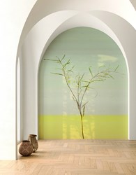 Acacia_sauterne_jpgHD_cmyk