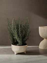 Evoke-pot-low-ferm-living-2
