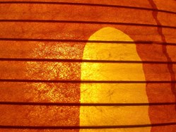 vitra-noguchi-akari-1ay-04