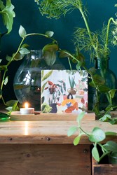 storytiles-come at ease-2