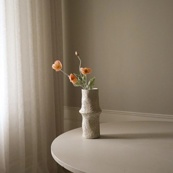 coral-poppy_flower