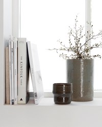 mug-lake-green-house-doctor-2