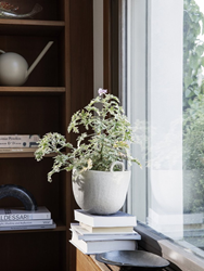speckle-pot-ferm_living-1